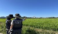 농관원, 전담인력 25여 명 투입 농지 9천여 필지 심층조사 착수